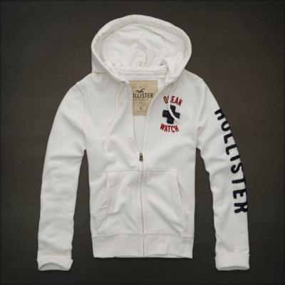 Hollister Men Hoodies-74